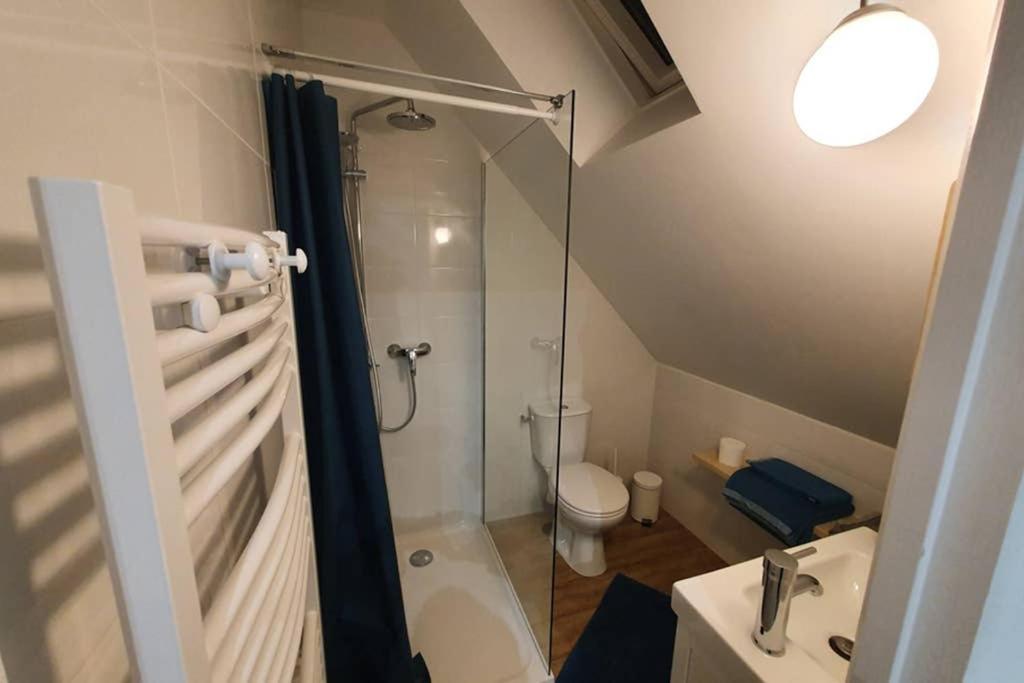 Studio Au Coeur Des Vignes Apartment Montlouis-sur-Loire Luaran gambar
