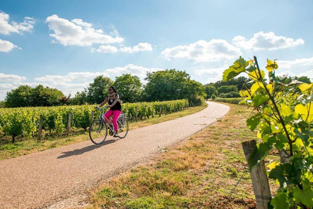 Studio Au Coeur Des Vignes Apartment Montlouis-sur-Loire Luaran gambar